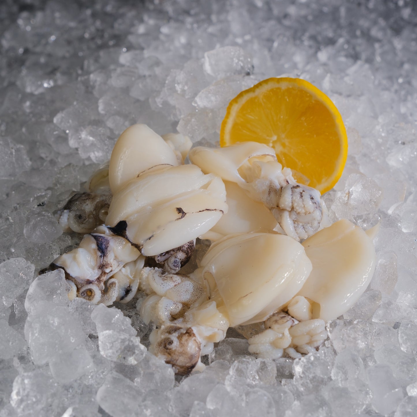 Baby Cuttlefish Clean (Ika) 小目斗