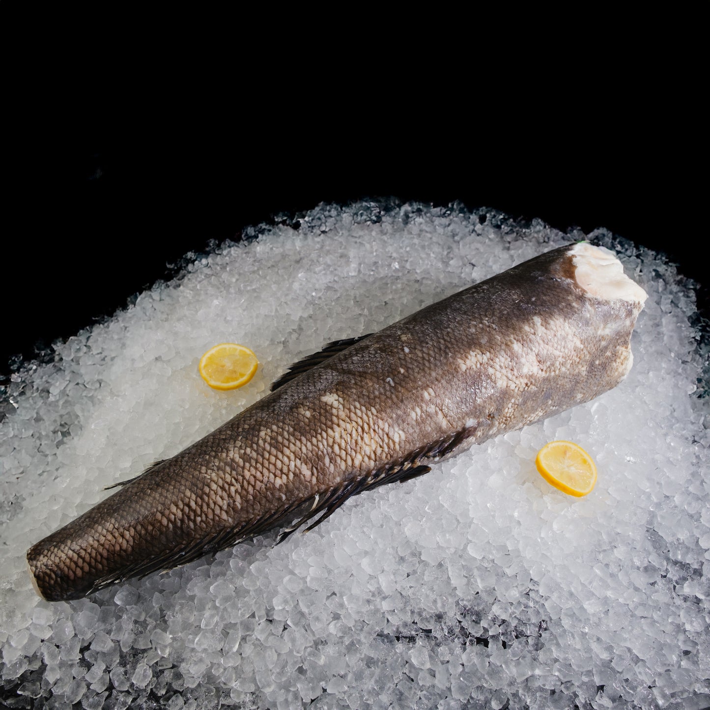 Chilean Sea Bass Headless 6kg (Dissostichus Eleginoides) 智利卢鱼