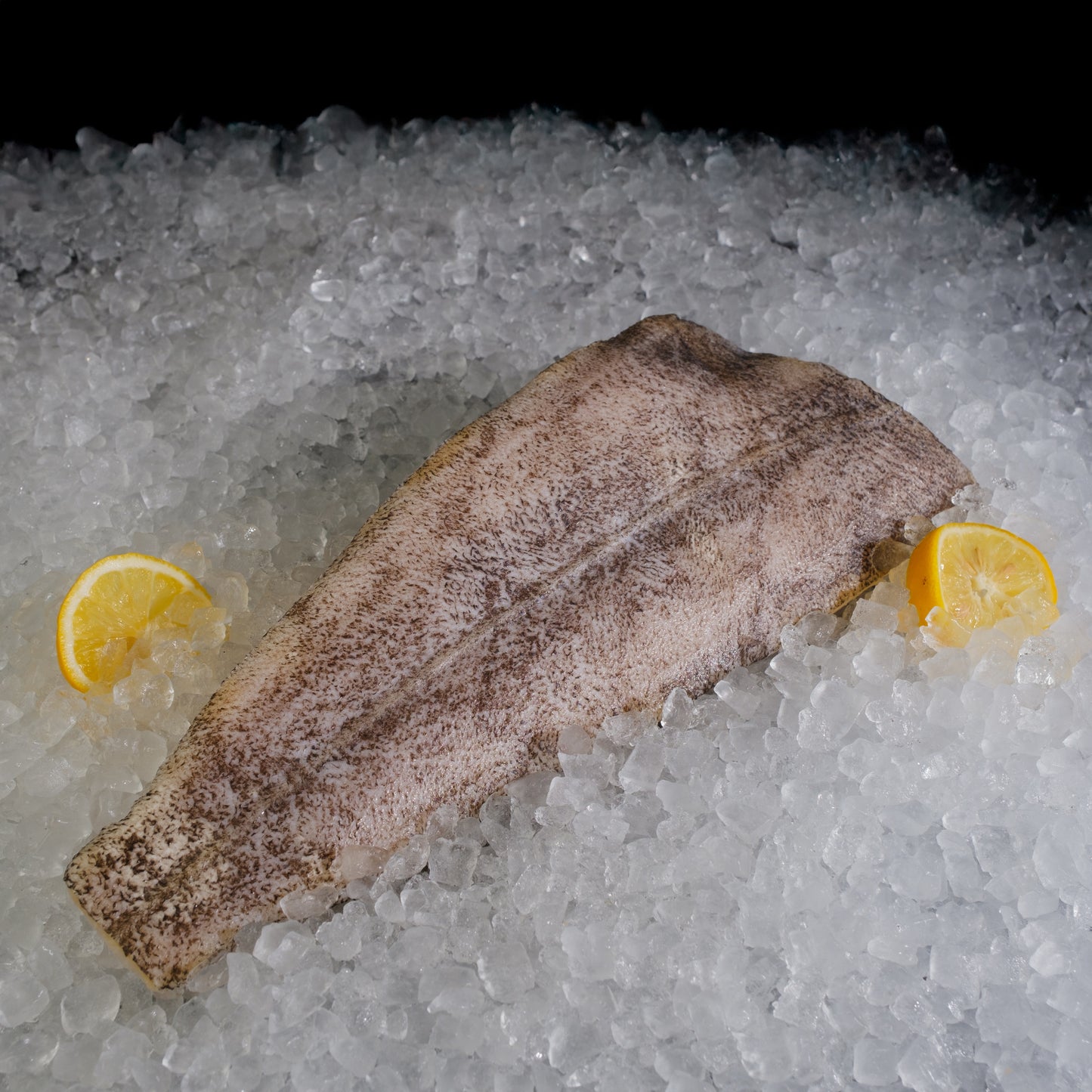 Halibut Fillet Skin On 有皮比目鱼