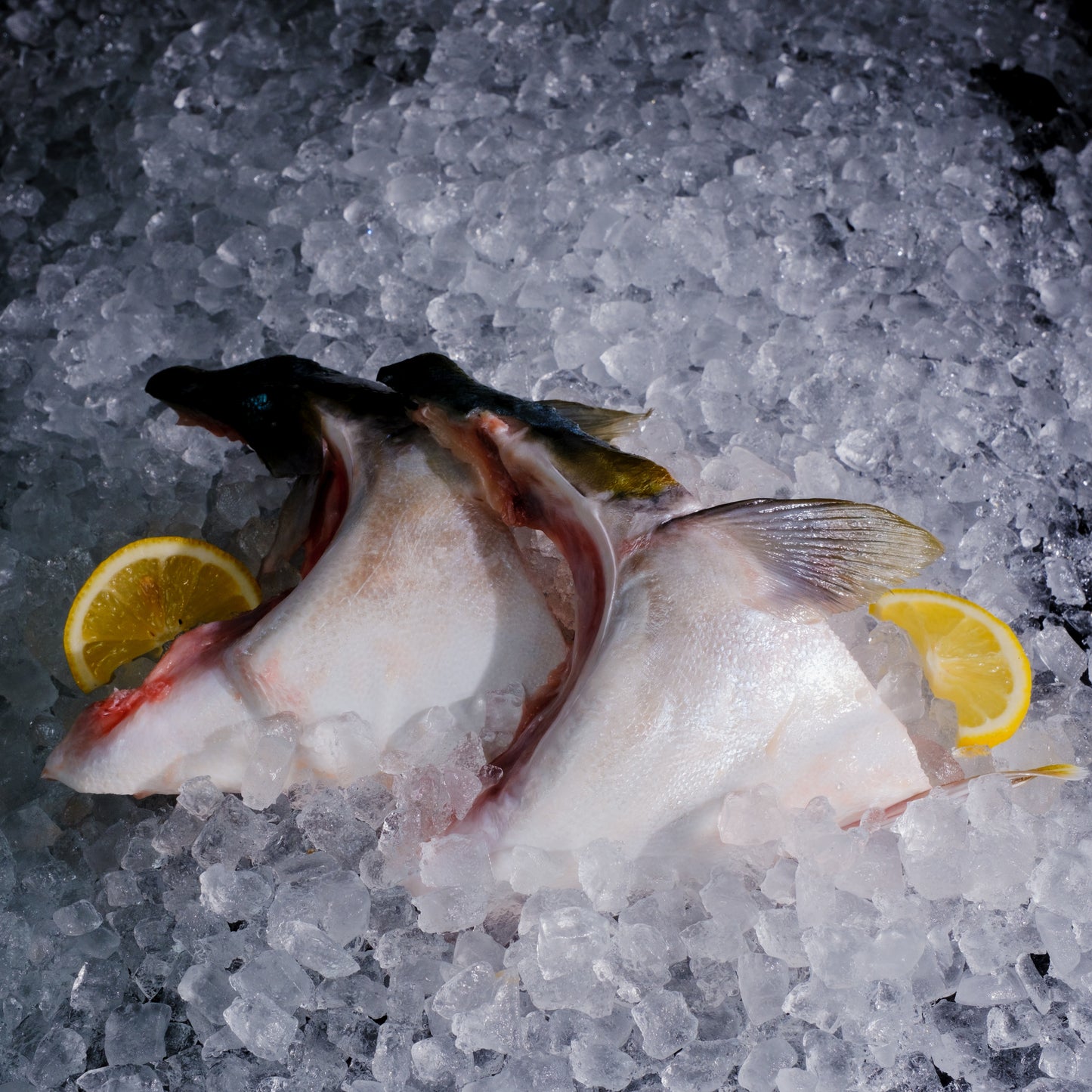 Hamachi Collar/ Burikama 日本狮鱼
