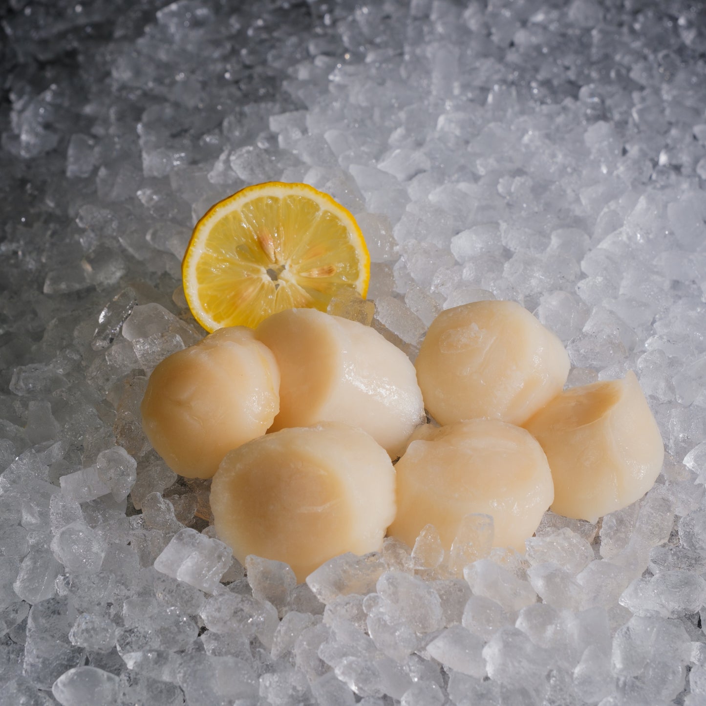 Scallop Meat (1M) 日本带子