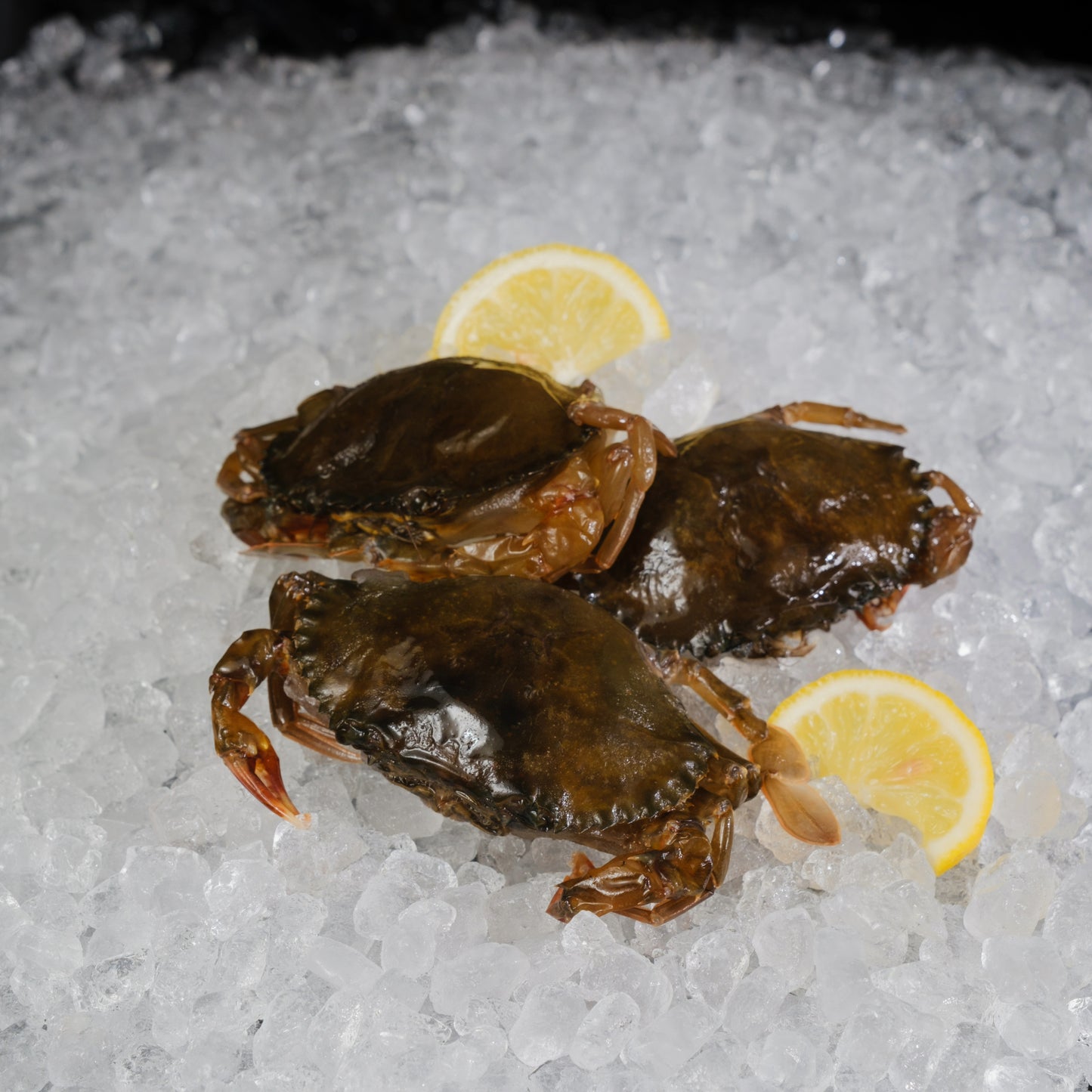 Soft Shell Crab 软壳蟹