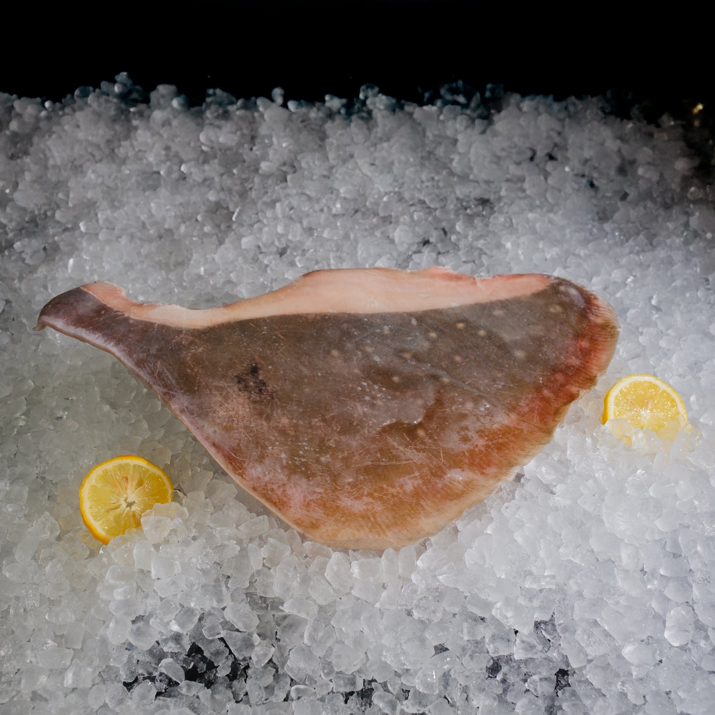 Stingray Fillet 方鱼片