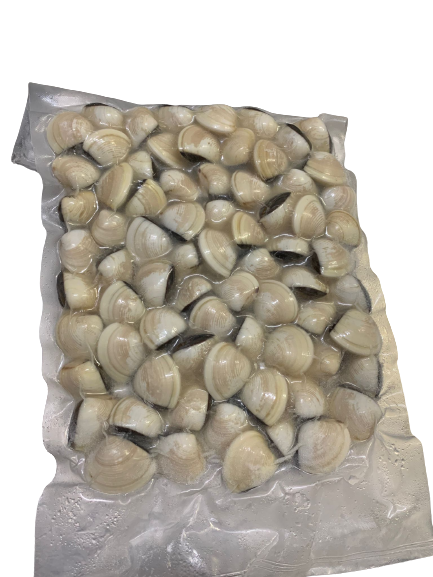 Asiatic Clam (White) 白啦啦
