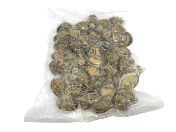 Flower Clam (Asari) 花螺