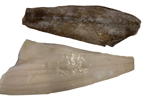 Halibut Fillet Skin On 有皮比目鱼
