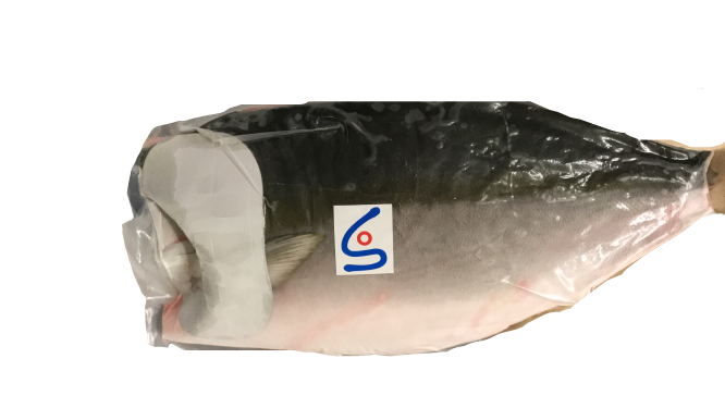 Hamachi Fillet (Sashimi Grade) 狮鱼片