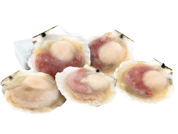 Half Shell Scallop Meat with Roe 半壳带子