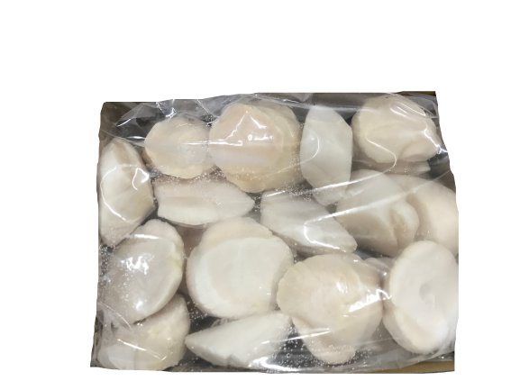 Scallop Meat (1M) 日本带子