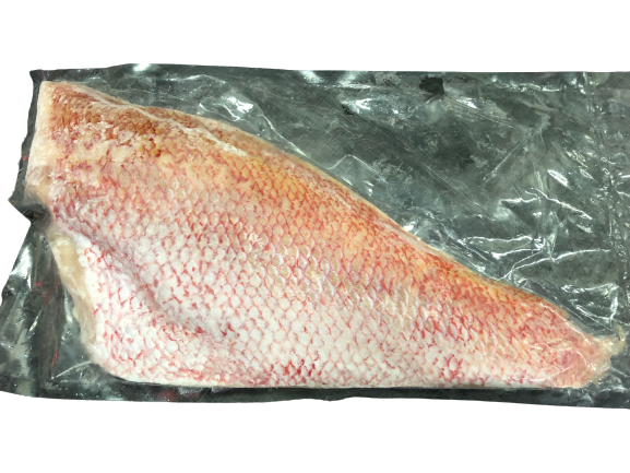 Red Malabar Snapper (L)红猷 2-2.3kg