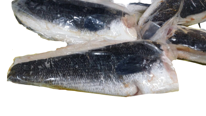 Snake Head Fillet (Toman) 生鱼肉