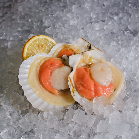 Half Shell Scallop Meat with Roe 半壳带子