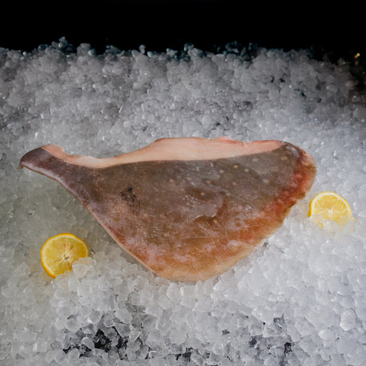 Stingray Fillet 方鱼片