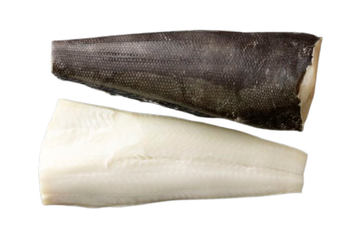 Chilean Sea Bass Headless 6kg (Dissostichus Eleginoides) 智利卢鱼