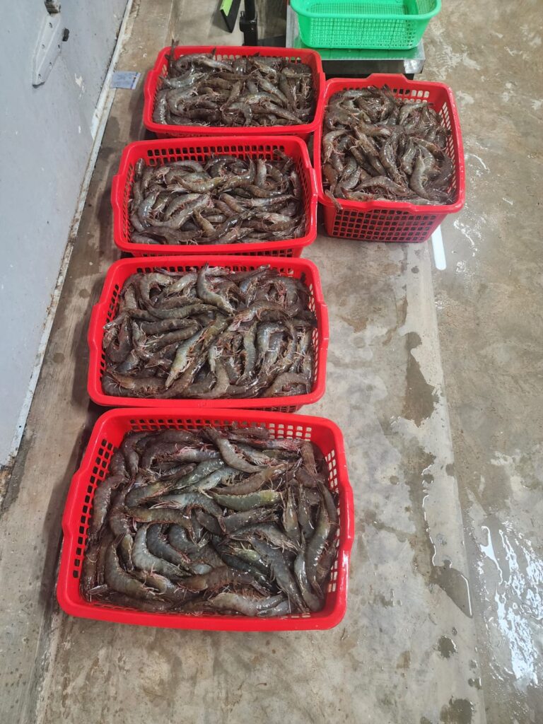 sustainable seafood Singapore ethical sourcing